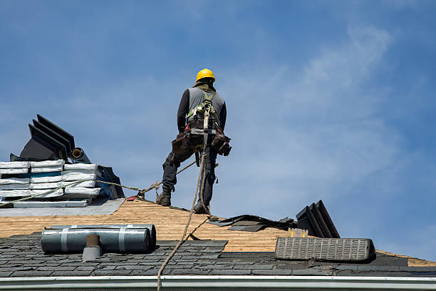Professional Roof Replacement technician working in Emerado, ND